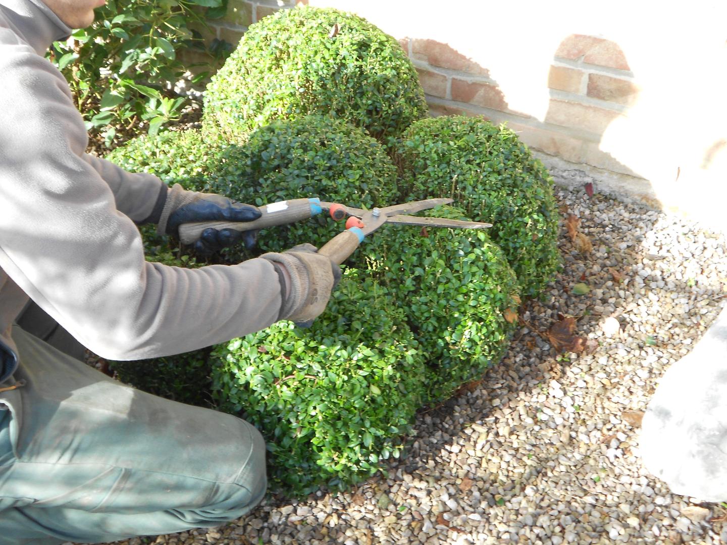 Entretien espace vert Lille